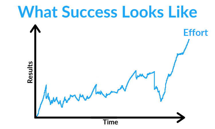 What success looks like graph