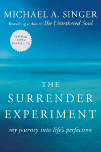 The Surrender Experiment by Michael Singer