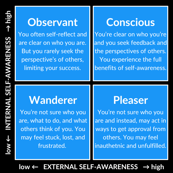 4 Archetypes of Self-Awareness
